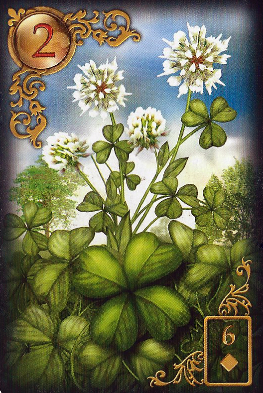 Lenormand Tageskarte der Klee