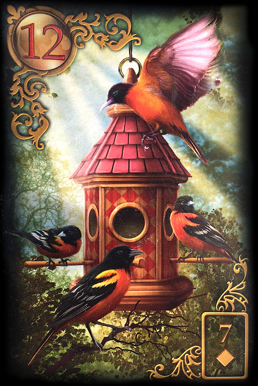 Lenormand Vögel Bedeutung