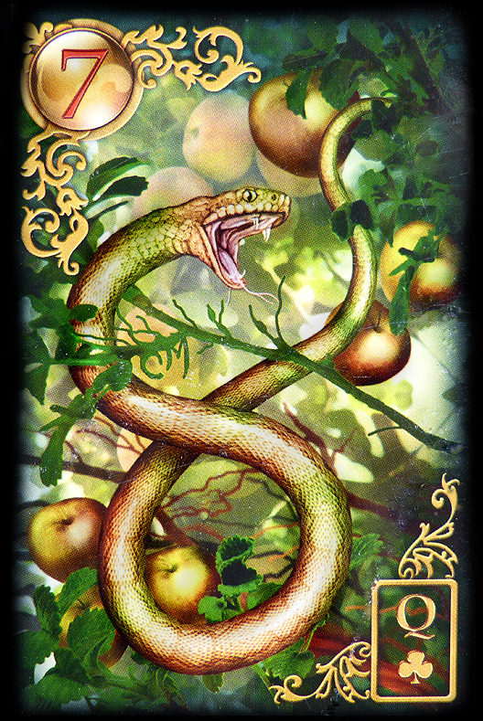 Meaning of the Lenormand Day card the Snake